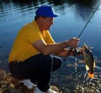 ���� ���