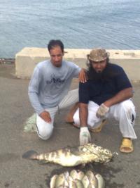 ������ ������� ���� �������