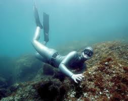 ���� ����� ������ �� ���� ������